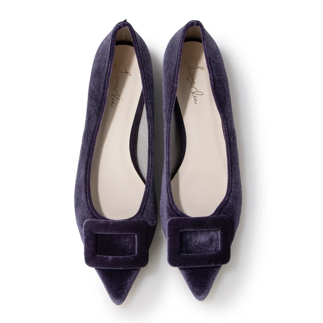 日本製[23AW] Launa lea 帶扣尖頭高跟鞋 (0459A) (Purple Z)（パープルZ）